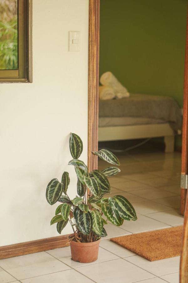 Gala Apts Playa Santa Teresa  Eksteriør bilde